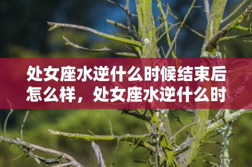 处女座水逆什么时候结束后怎么样，处女座水逆什么时候结束2024