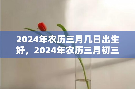 2024年农历三月几日出生好，2024年农历三月初三上坟好不好