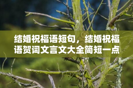 结婚祝福语短句，结婚祝福语贺词文言文大全简短一点 贺卡祝福语简短