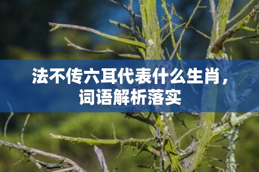 法不传六耳代表什么生肖，词语解析落实插图