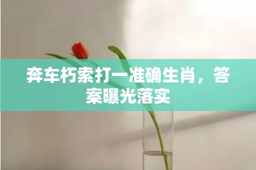 奔车朽索打一准确生肖，答案曝光落实插图