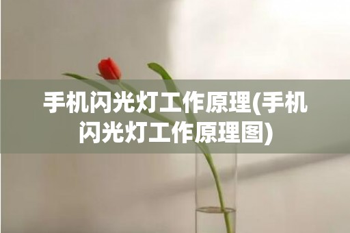 手机闪光灯工作原理(手机闪光灯工作原理图)