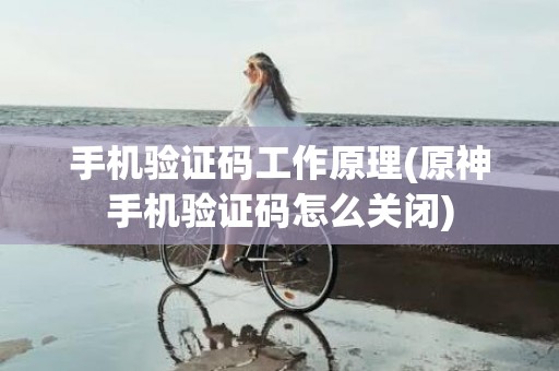 手机验证码工作原理(原神手机验证码怎么关闭)