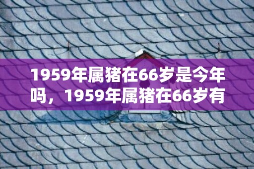 1959年属猪在66岁是今年吗，1959年属猪在66岁有灾难不