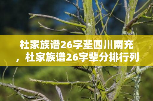 杜家族谱26字辈四川南充，杜家族谱26字辈分排行列表