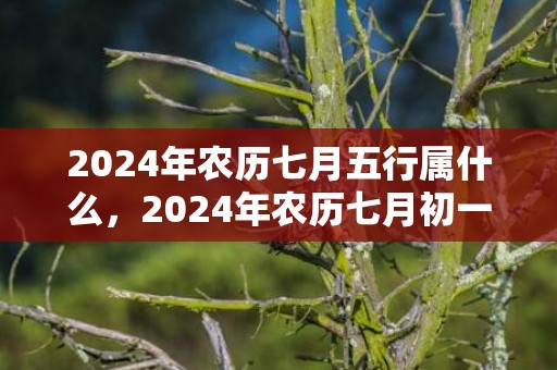 2024年农历七月五行属什么，2024年农历七月初一出生的宝宝是什么星座