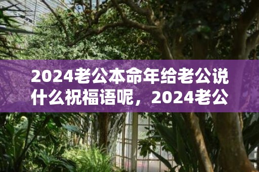 2024老公本命年给老公说什么祝福语呢，2024老公本命年老婆怀孕好不好