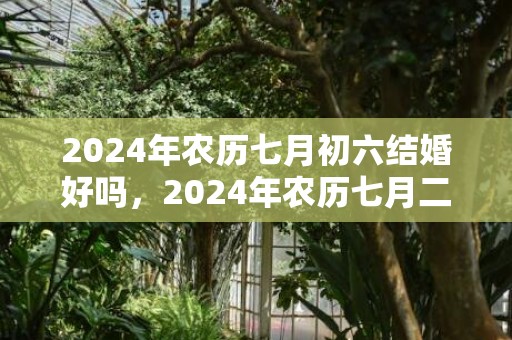 2024年农历七月初六结婚好吗，2024年农历七月二十九日这天理发好吗
