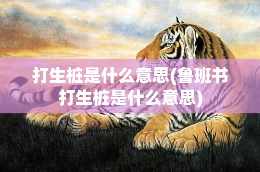 打生桩是什么意思(鲁班书打生桩是什么意思)