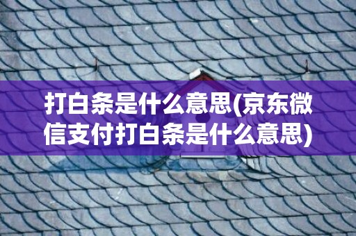 打白条是什么意思(京东微信支付打白条是什么意思)