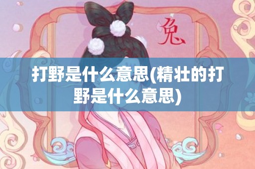 打野是什么意思(精壮的打野是什么意思)