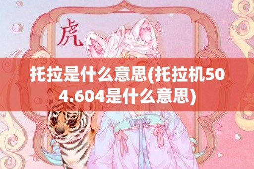 托拉是什么意思(托拉机504.604是什么意思)