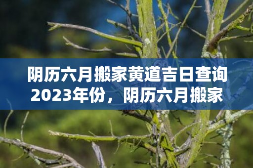 阴历六月搬家黄道吉日查询2023年份，阴历六月搬家黄道吉日2024
