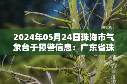 2024年05月24日珠海市气象台于预警信息：广东省珠海市发布雷电黄色预警