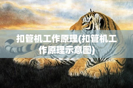 扣管机工作原理(扣管机工作原理示意图)