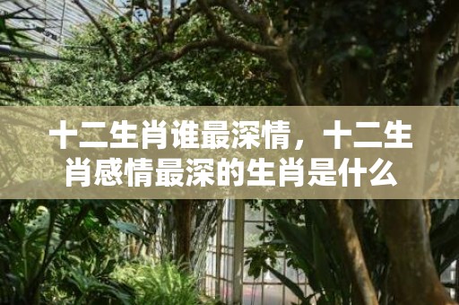 十二生肖谁最深情，十二生肖感情最深的生肖是什么