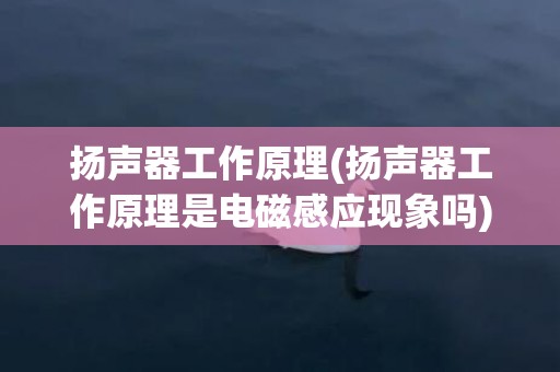扬声器工作原理(扬声器工作原理是电磁感应现象吗)