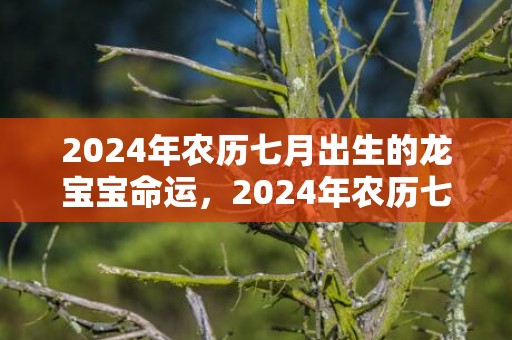 2024年农历七月出生的龙宝宝命运，2024年农历七月二十七日出生的女孩属什么五行