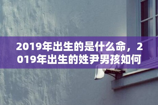 2019年出生的是什么命，2019年出生的姓尹男孩如何起名，宜用什么字