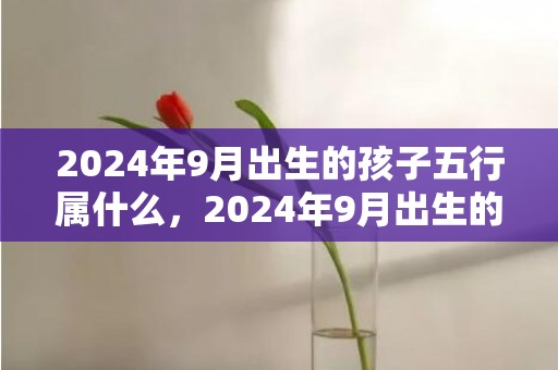 2024年9月出生的孩子五行属什么，2024年9月出生的八字五行缺土女孩起名