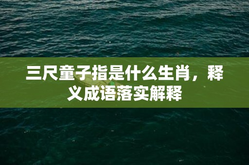 三尺童子指是什么生肖，释义成语落实解释