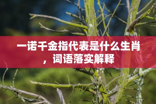 一诺千金指代表是什么生肖，词语落实解释