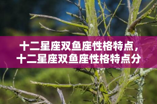 十二星座双鱼座性格特点，十二星座双鱼座性格特点分析女生