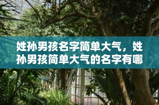 姓孙男孩名字简单大气，姓孙男孩简单大气的名字有哪些