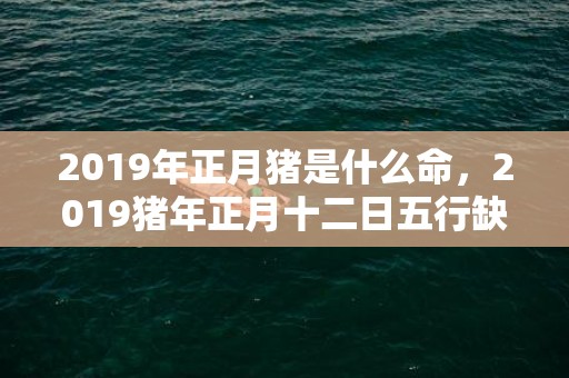 2019年正月猪是什么命，2019猪年正月十二日五行缺木的女孩如何起名，起什么名？