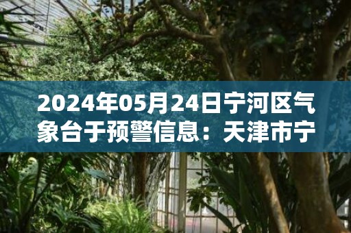 2024年05月24日宁河区气象台于预警信息：天津市宁河区发布冰雹橙色预警
