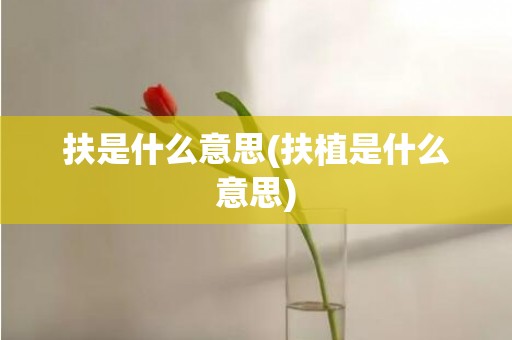扶是什么意思(扶植是什么意思)