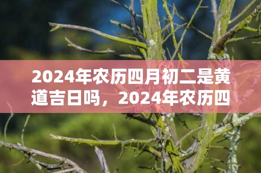 2024年农历四月初二是黄道吉日吗，2024年农历四月二十一提车好不好