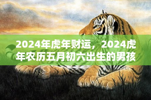 2024年虎年财运，2024虎年农历五月初六出生的男孩命运怎么样
