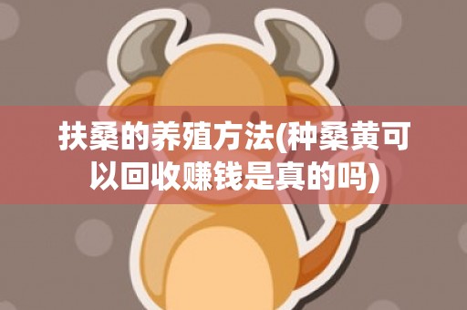 扶桑的养殖方法(种桑黄可以回收赚钱是真的吗)