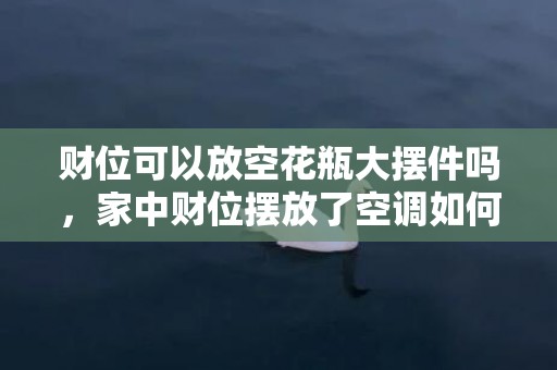 财位可以放空花瓶大摆件吗，家中财位摆放了空调如何化解