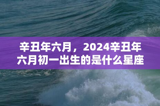 辛丑年六月，2024辛丑年六月初一出生的是什么星座