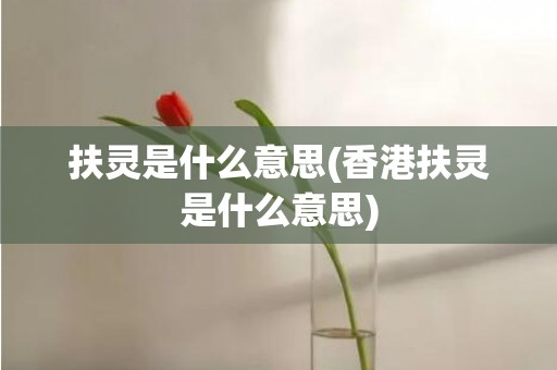 扶灵是什么意思(香港扶灵是什么意思)