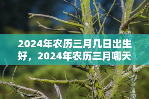 2024年农历三月几日出生好，2024年农历三月哪天是安葬出殡的吉日