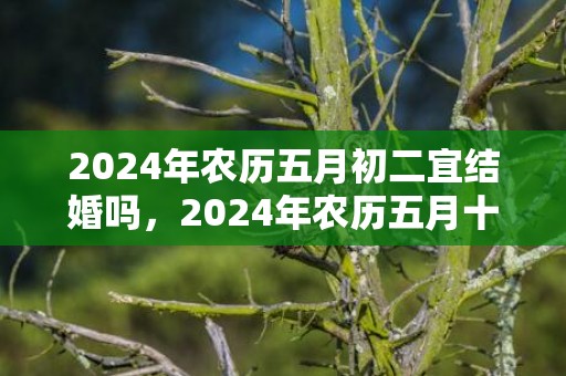 2024年农历五月初二宜结婚吗，2024年农历五月十八出生的女孩五行缺什么