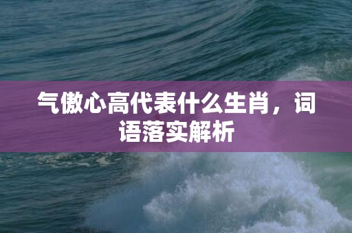 气傲心高代表什么生肖，词语落实解析插图
