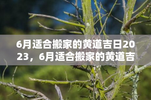 6月适合搬家的黄道吉日2023，6月适合搬家的黄道吉日2024