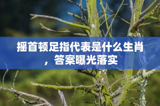 摇首顿足指代表是什么生肖，答案曝光落实插图