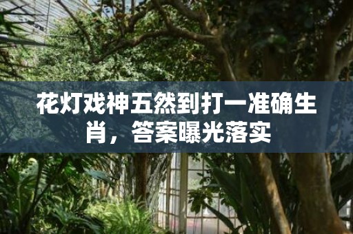 花灯戏神五然到打一准确生肖，答案曝光落实