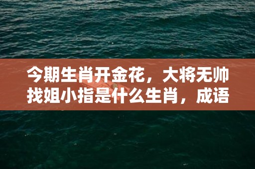 今期生肖开金花，大将无帅找姐小指是什么生肖，成语释义解释落实