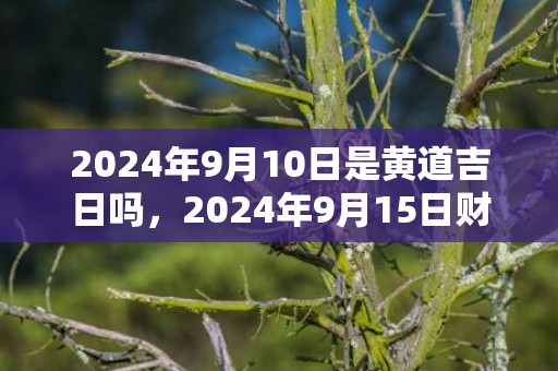 2024年9月10日是黄道吉日吗，2024年9月15日财神方位在哪