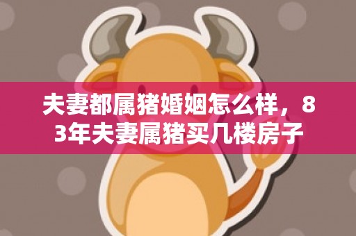 夫妻都属猪婚姻怎么样，83年夫妻属猪买几楼房子