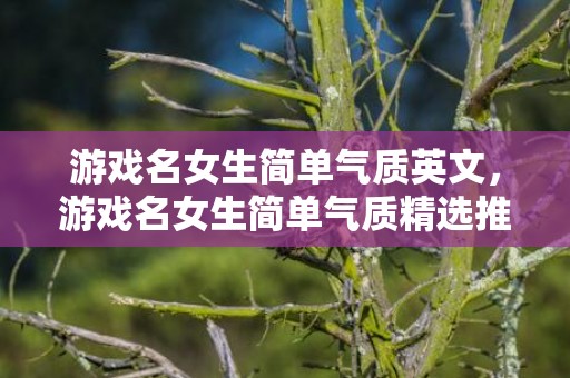 游戏名女生简单气质英文，游戏名女生简单气质精选推荐