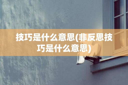 技巧是什么意思(非反思技巧是什么意思)