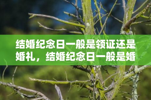 结婚纪念日一般是领证还是婚礼，结婚纪念日一般是婚礼还是领证前一天，结婚纪念日给老公的话