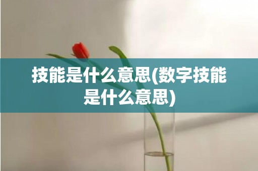 技能是什么意思(数字技能是什么意思)